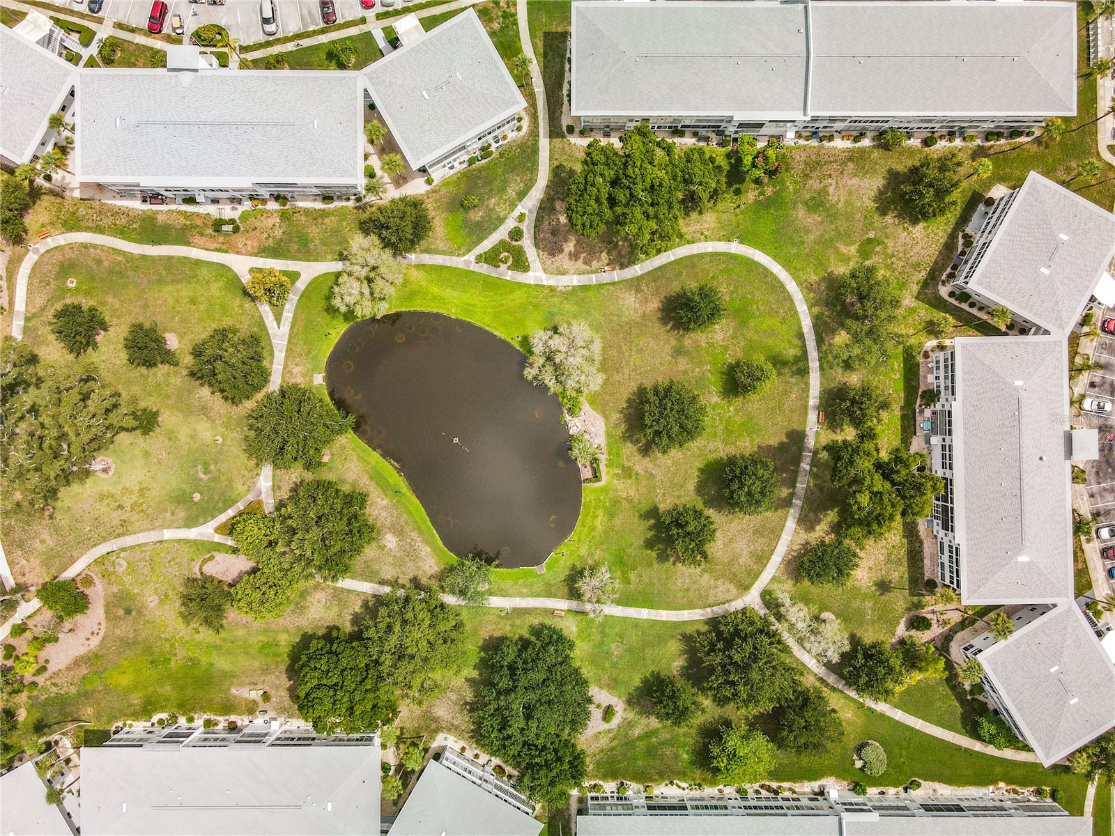 8101 113th Street #309 Seminole FL 33772 TB8531506 image46
