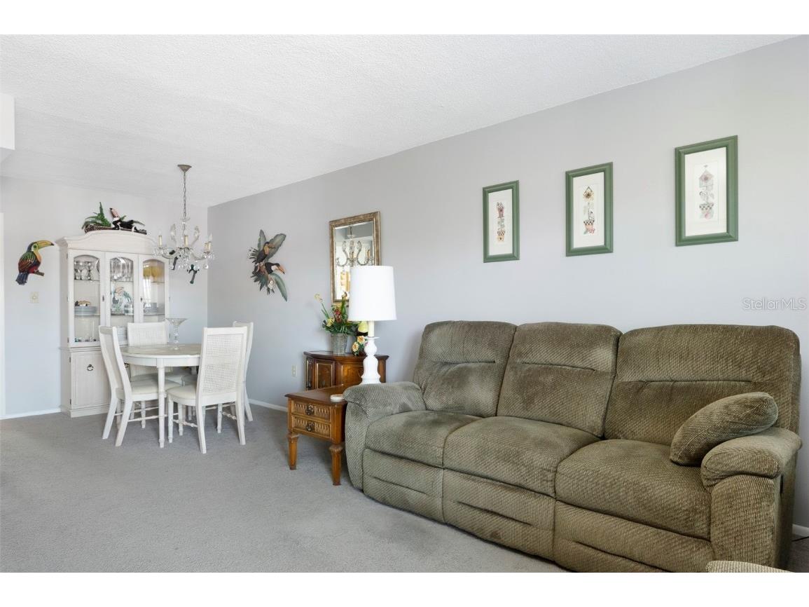 8101 11th Street N #319 Saint Petersburg FL 33702 TB8451726 image3