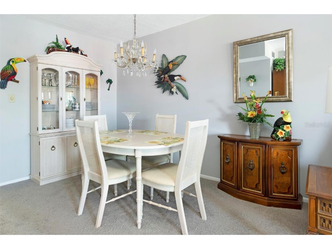 8101 11th Street N #319 Saint Petersburg FL 33702 TB8451726 image5