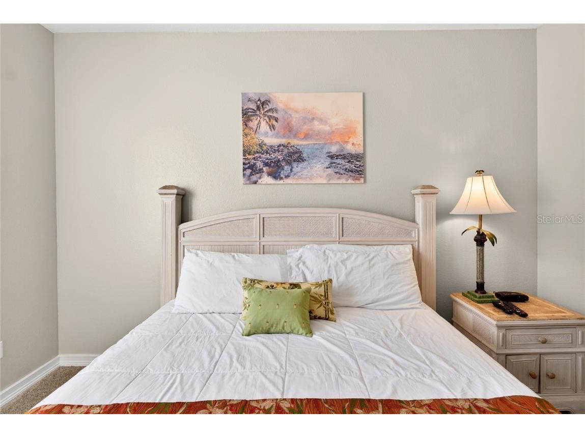 8101 Coconut Palm Way #203 Kissimmee FL 34747 O6365850 image23