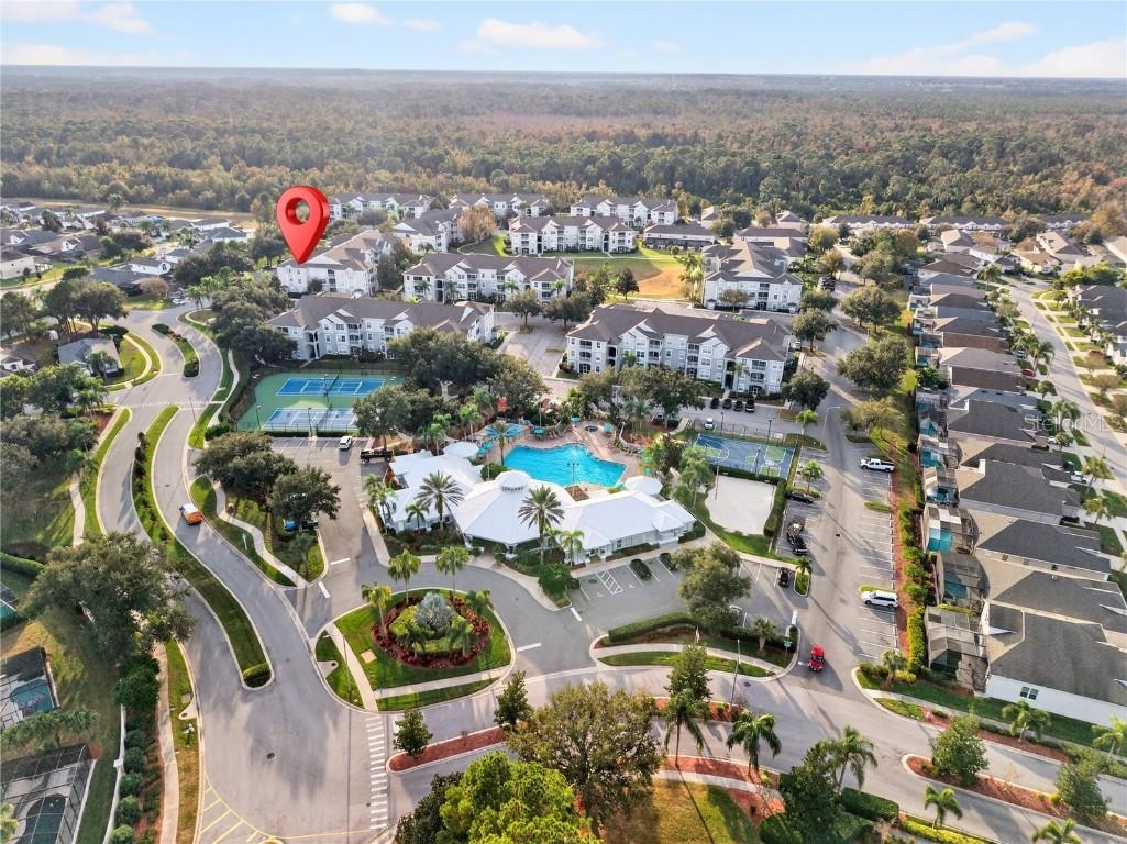 8101 Coconut Palm Way #203 Kissimmee FL 34747 O6365850 image34