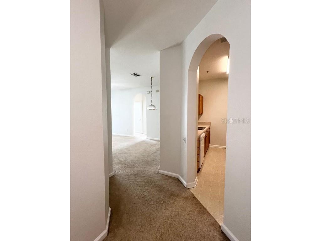 8101 Coconut Palm Way #205 Kissimmee FL 34747 O6351411 image37