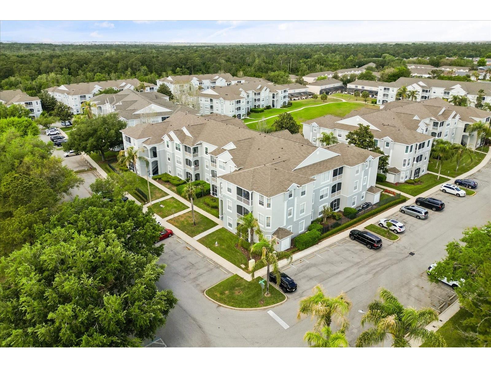 8101 Coconut Palm Way #205 Kissimmee FL 34747 O6396476 image23
