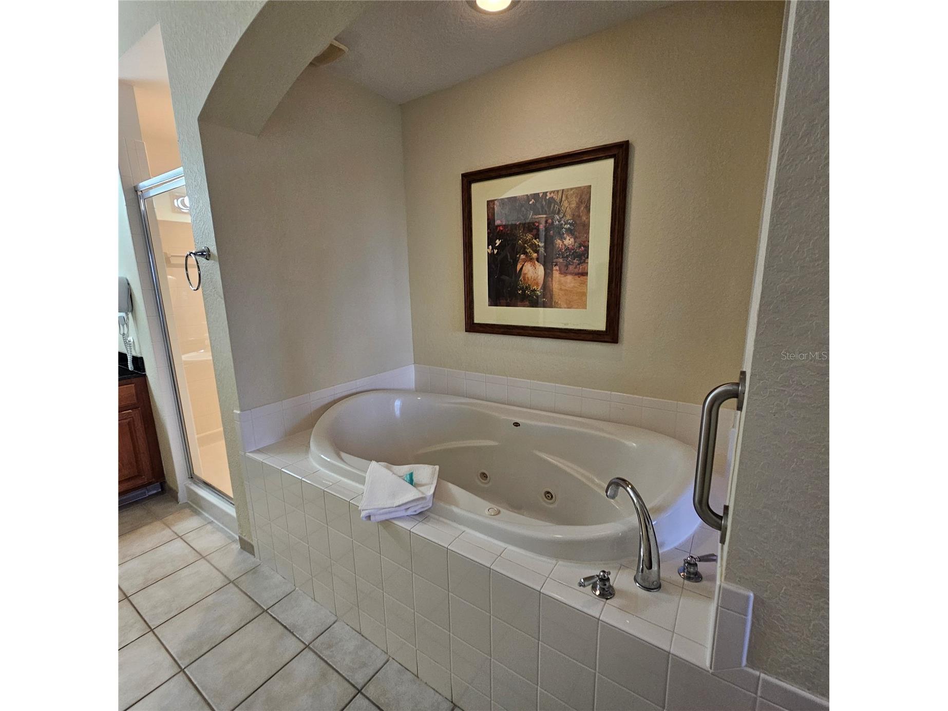 8101 Resort Village Dr #31406 Orlando FL 32821 S5145632 image30