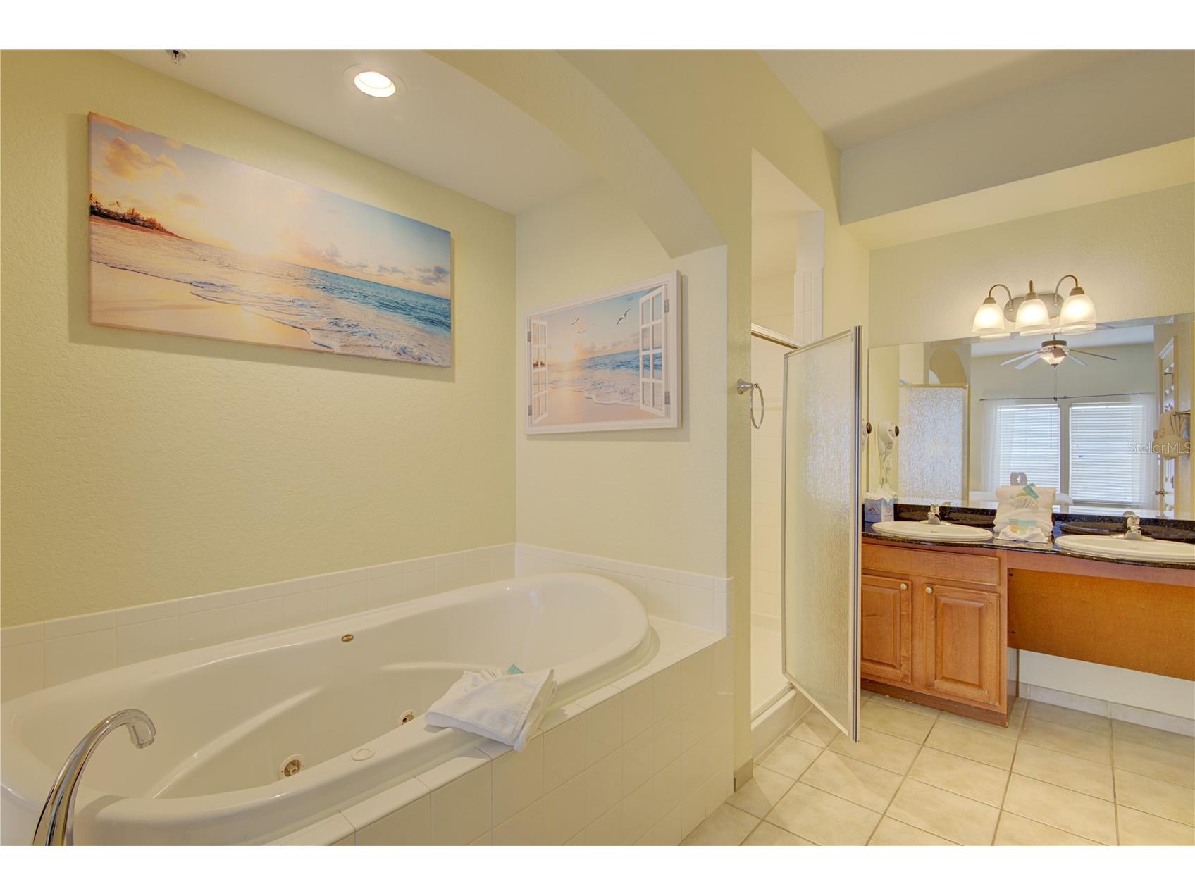 8101 Resort Village Drive #31101 Orlando FL 32821 O6403441 image14