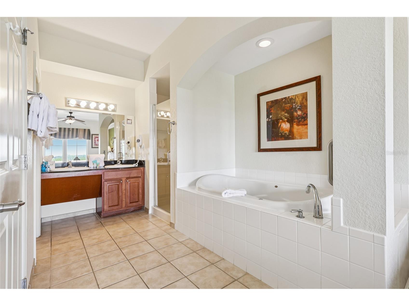 8101 Resort Village Drive #31210 Orlando FL 32821 O6336228 image8