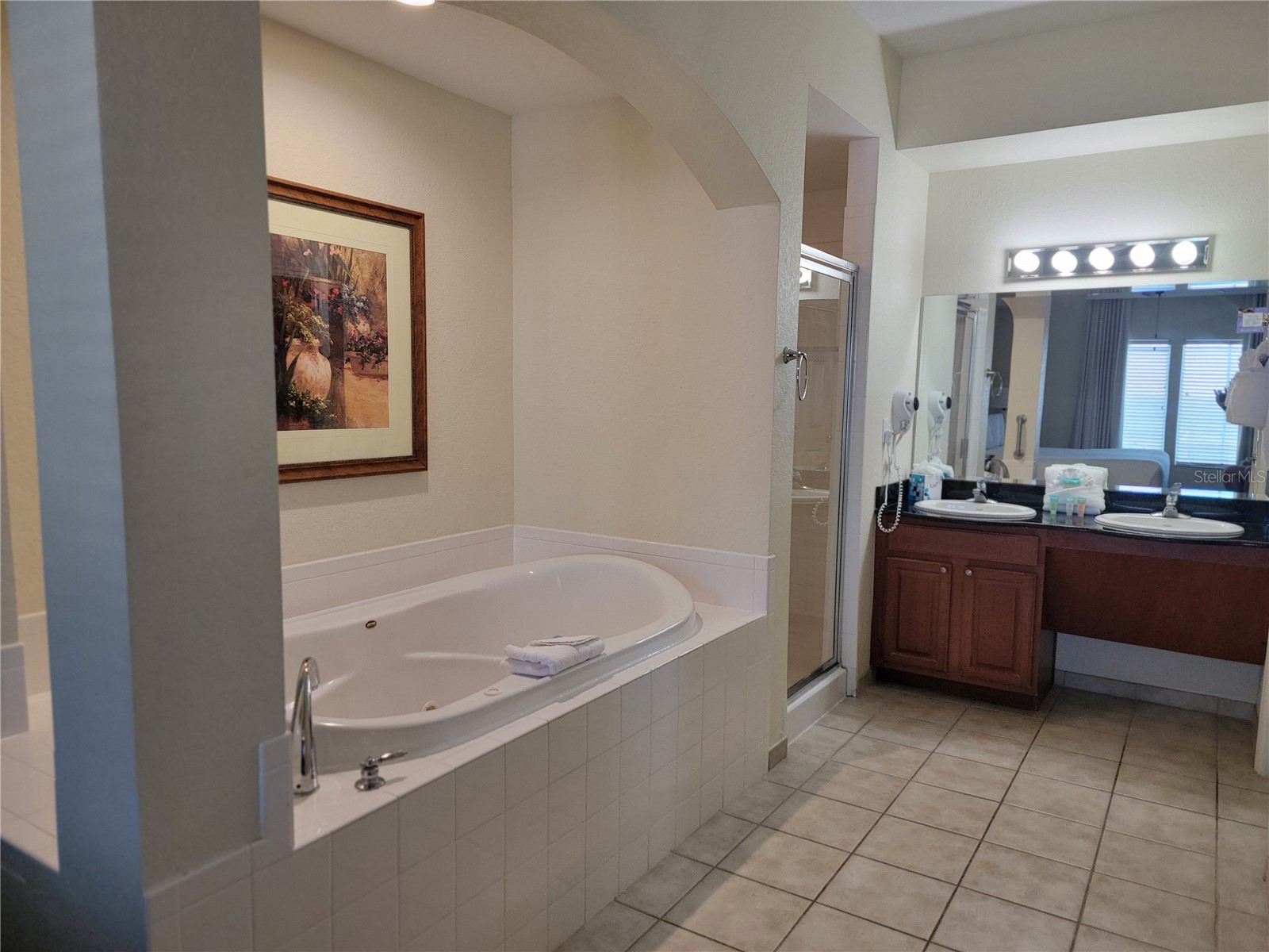 8101 Resort Village Drive #31212 Orlando FL 32821 O6363763 image12