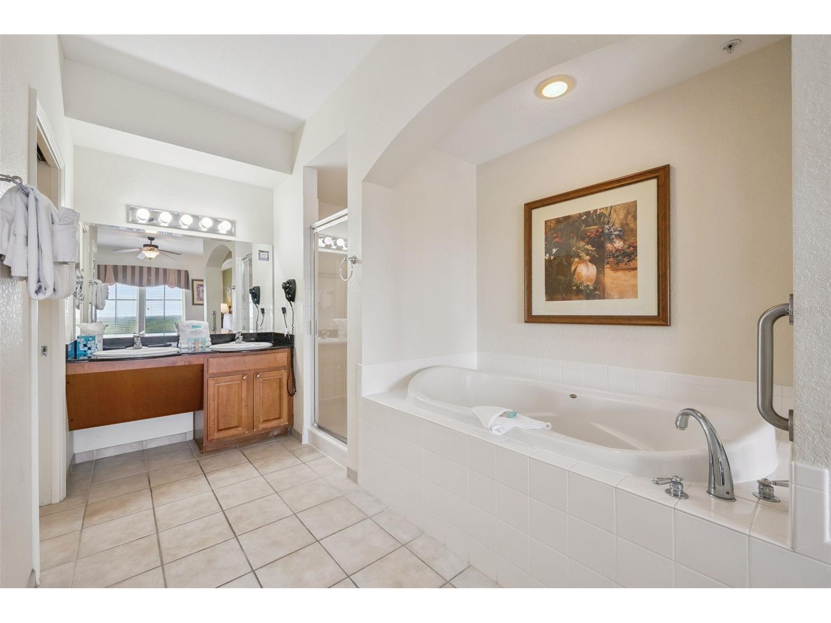 8101 Resort Village Drive #31314 Orlando FL 32821 S5141827 image21