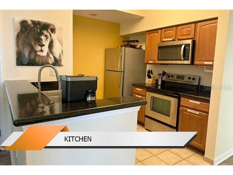 8101 Resort Village Drive #31501 Orlando FL 32821 O6306324 image10