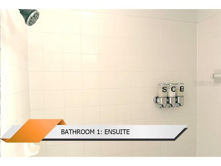 8101 Resort Village Drive #31501 Orlando FL 32821 O6306324 image16