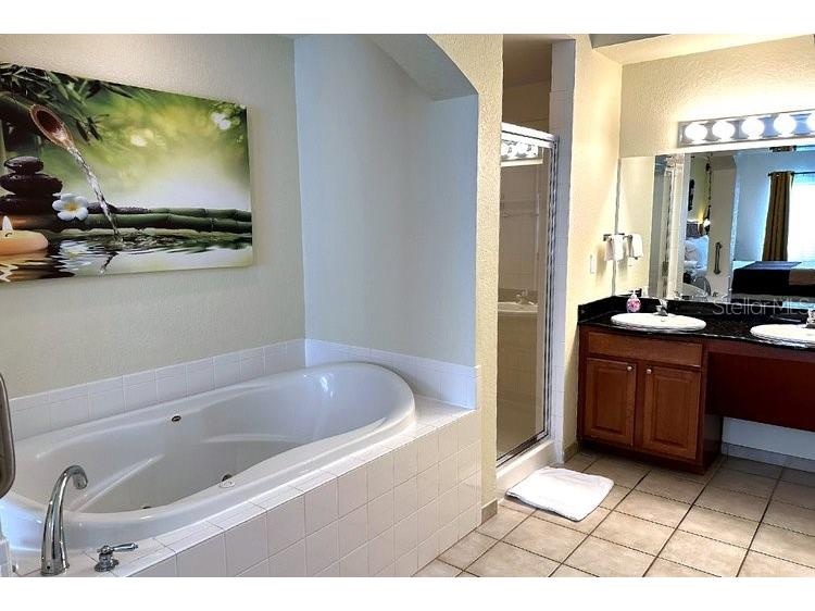 8101 Resort Village Drive #31501 Orlando FL 32821 O6306324 image18