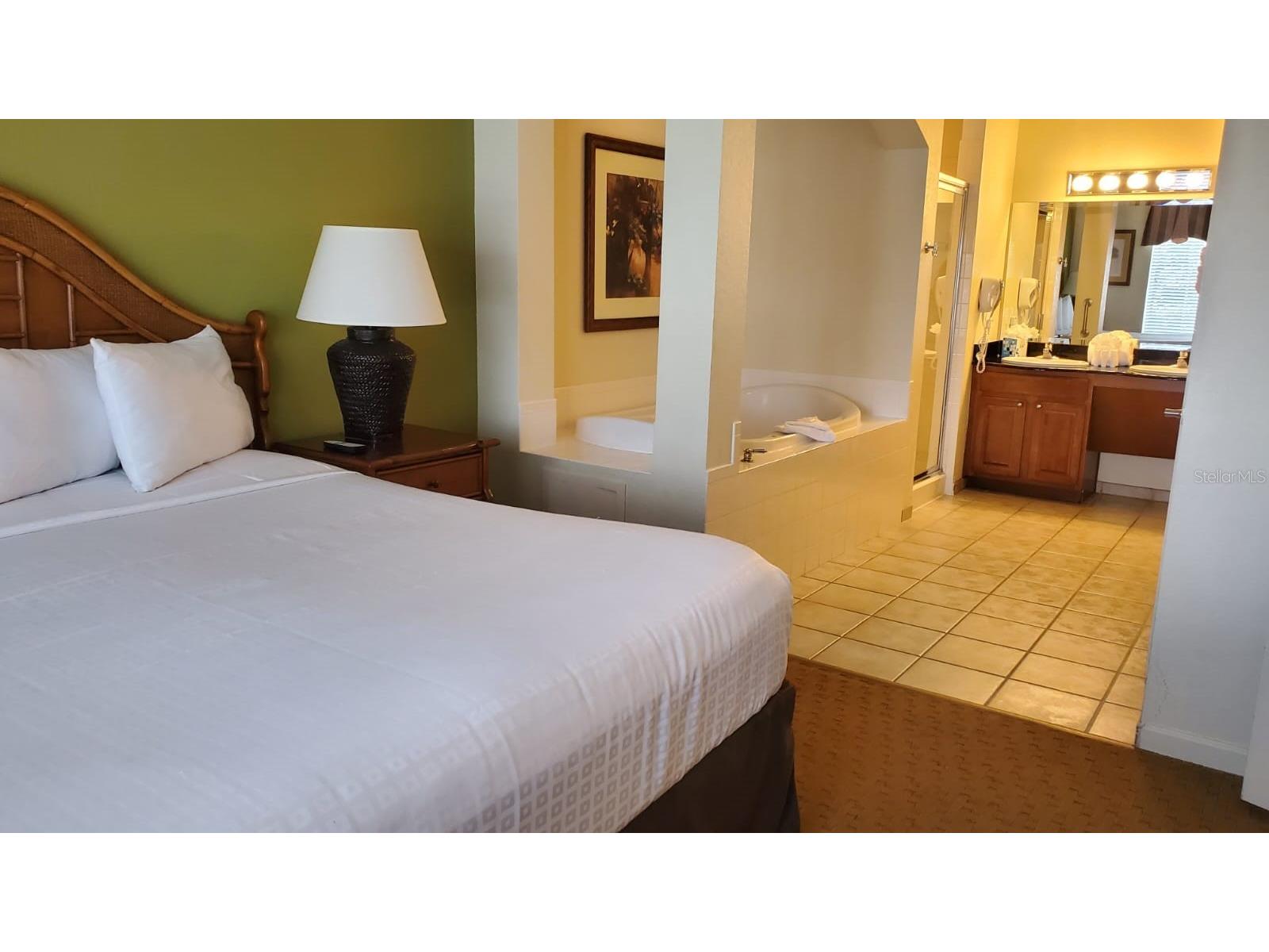 8101 Resort Village Drive #3308 Orlando FL 32821 O6425503 image8
