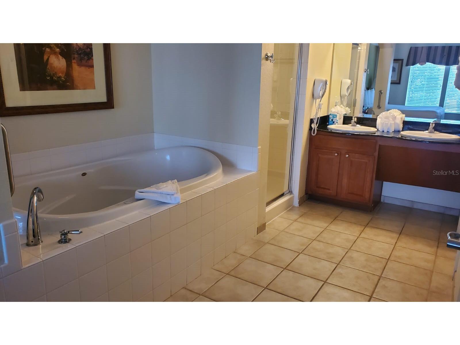 8101 Resort Village Drive #3308 Orlando FL 32821 O6425503 image9