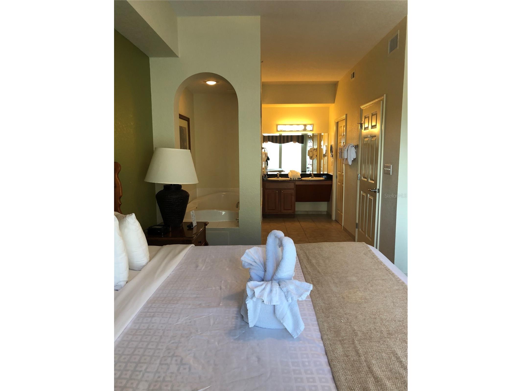 8101 Resort Village Drive #3411 Orlando FL 32821 O6404031 image9