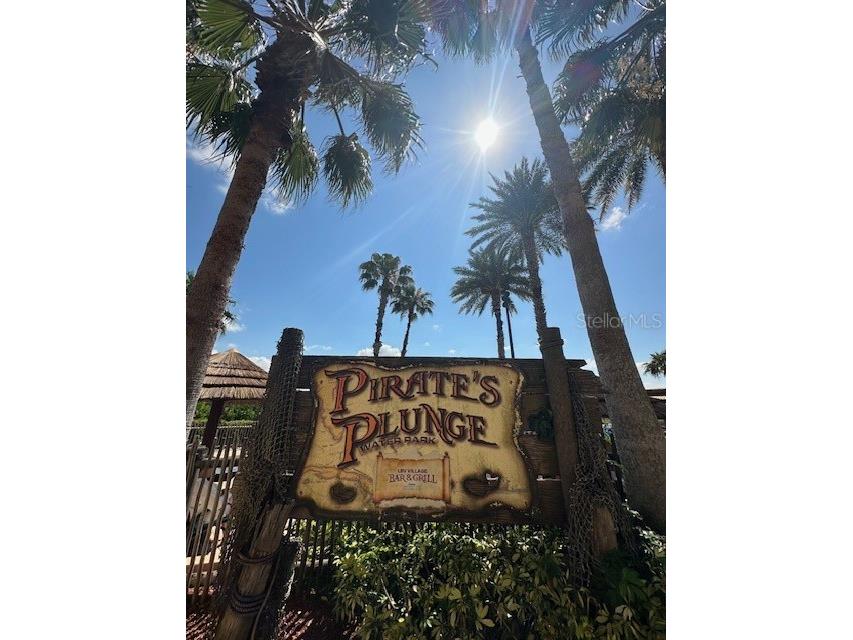 8101 Resort Village Drive #3608 Orlando FL 32821 O6199796 image22