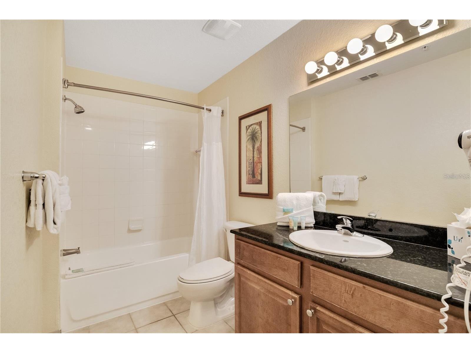 8101 Resort Village Drive #3905 Orlando FL 32821 O6409353 image16