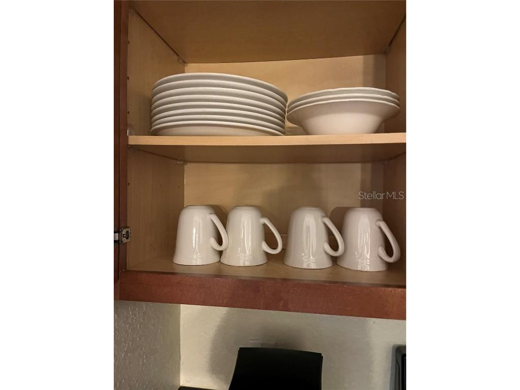 8101 Resort Village Drive #3909 Orlando FL 32821 O6304034 image11