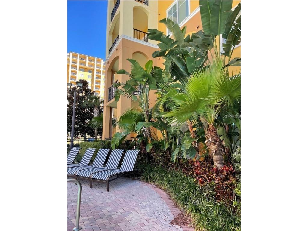 8101 Resort Village Drive #3909 Orlando FL 32821 O6304034 image28