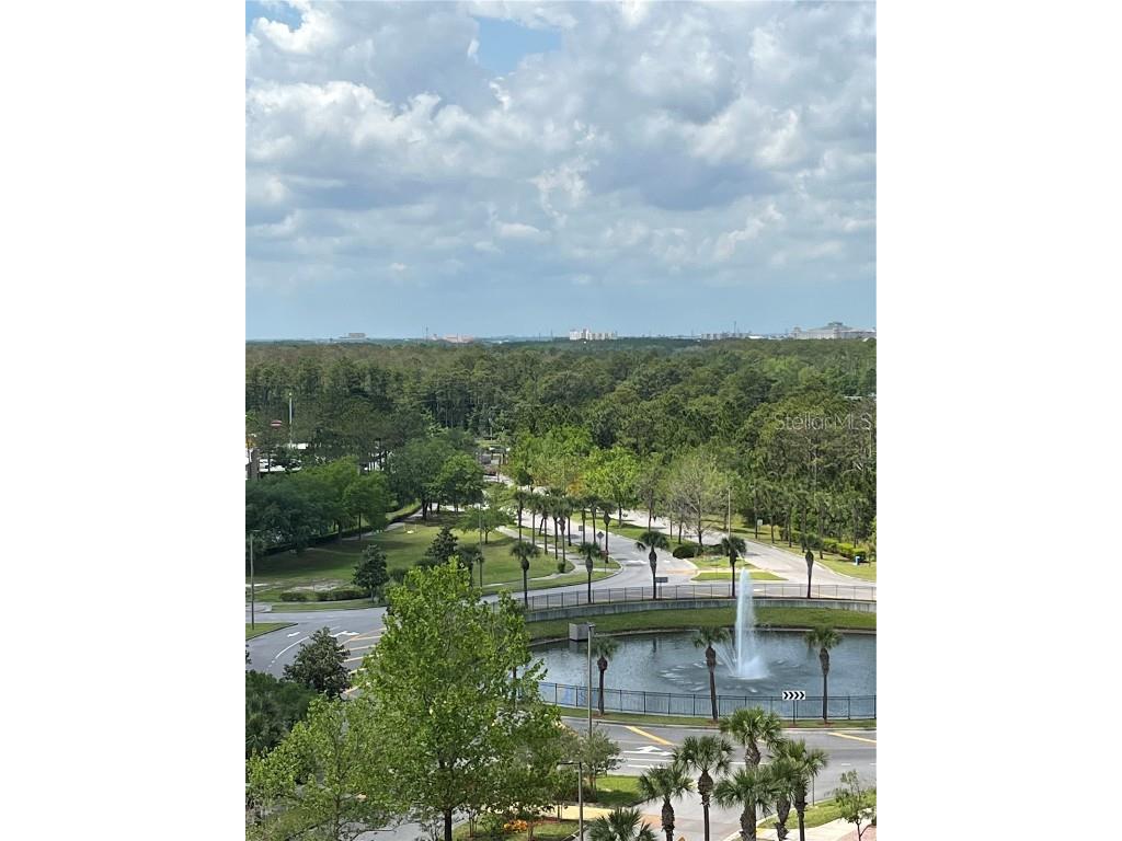 8101 Resort Village Drive #3909 Orlando FL 32821 O6304034 image5