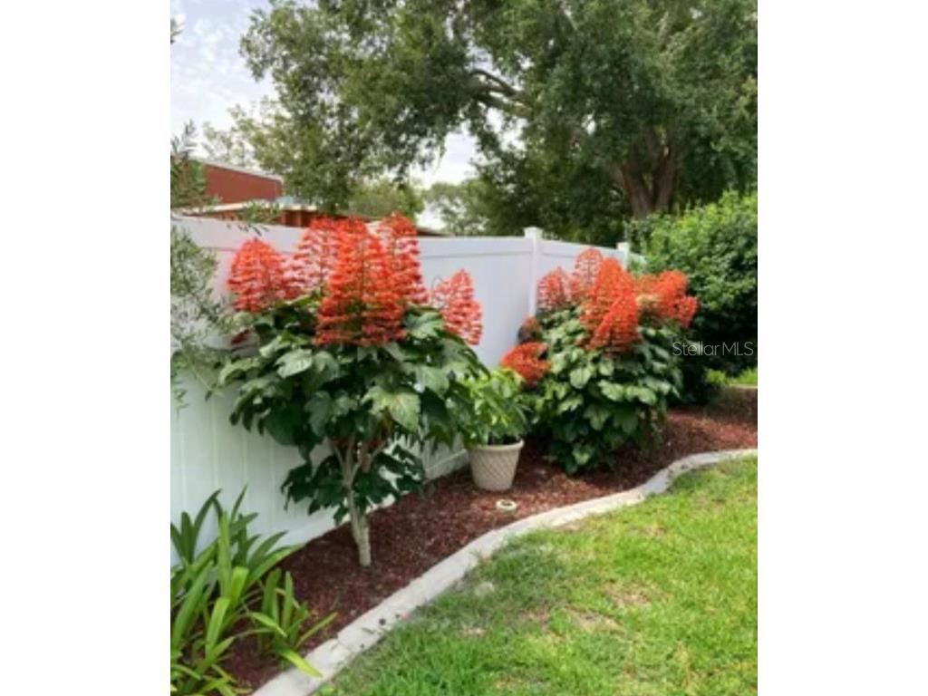 8101 Roxboro Drive Hudson FL 34667 TB8399435 image6