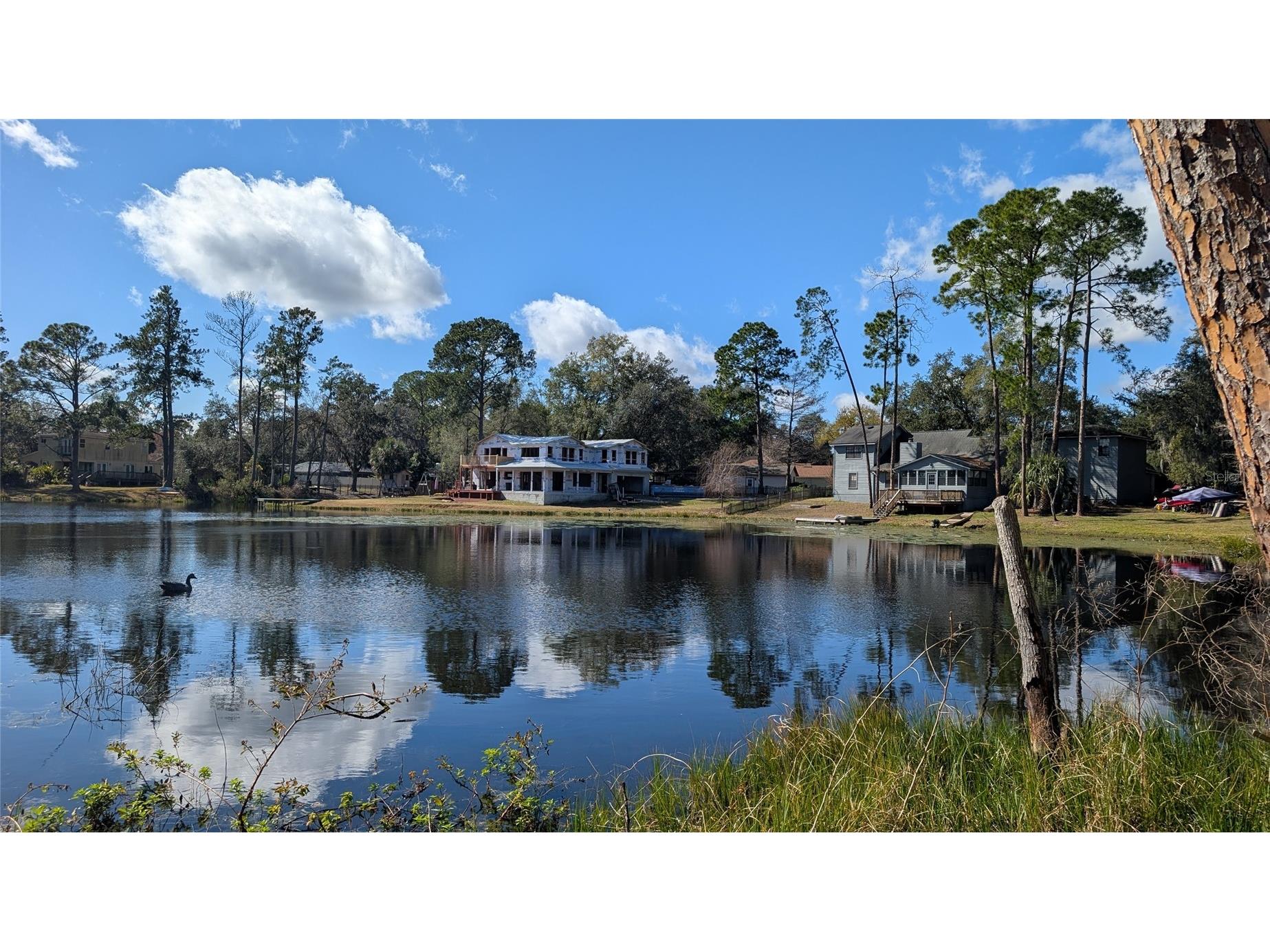 8101 Via Bonita Sanford FL 32771 - LAKE GARY O6377679 image39