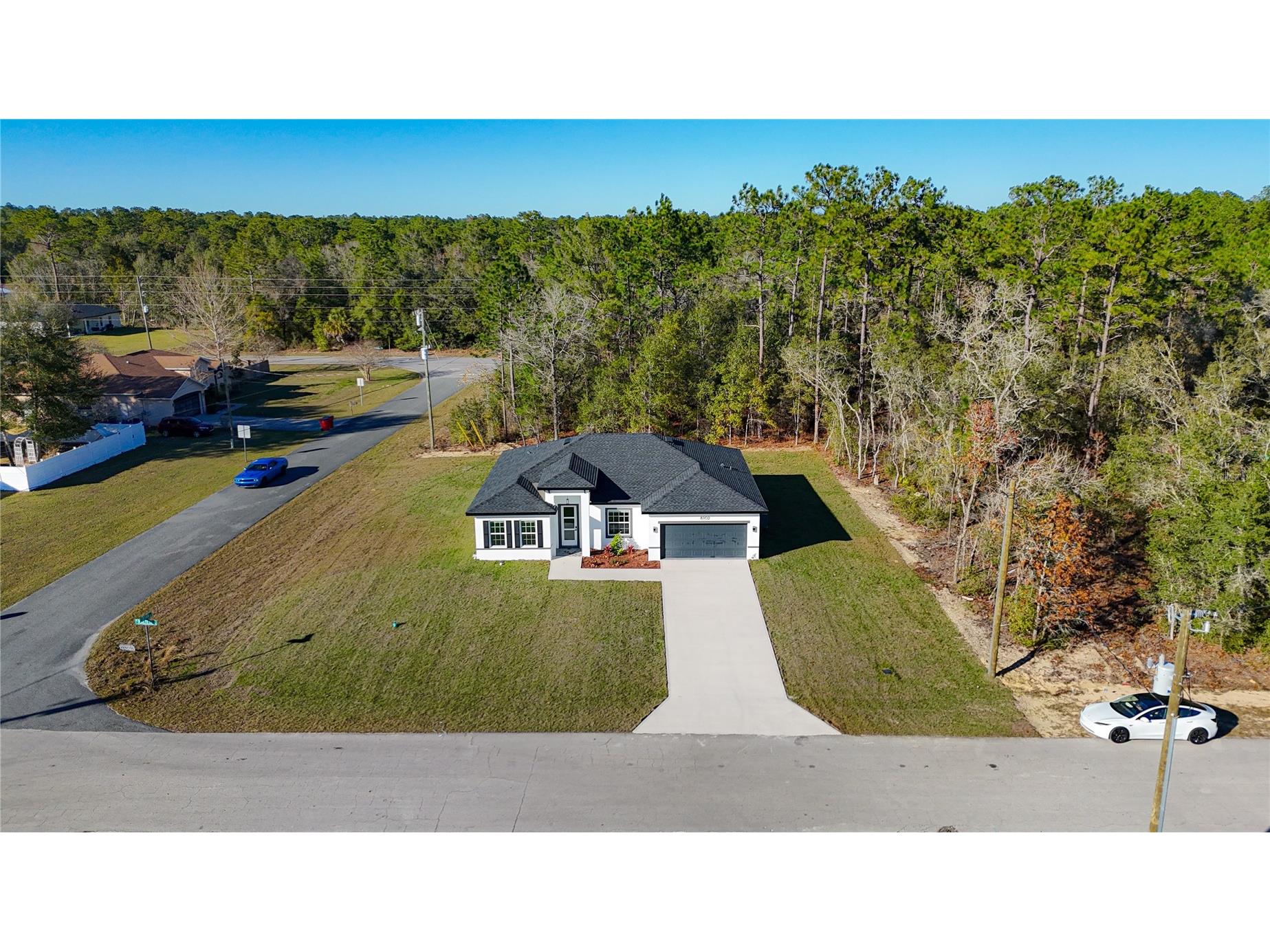 8102 N Maltese Drive Citrus Springs FL 34433 O6374629 image37