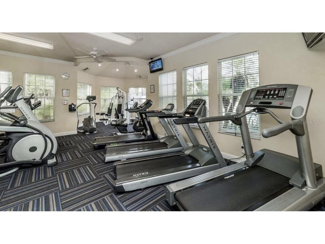 8103 Coconut Palm Way #203 Kissimmee FL 34747 S5146102 image27