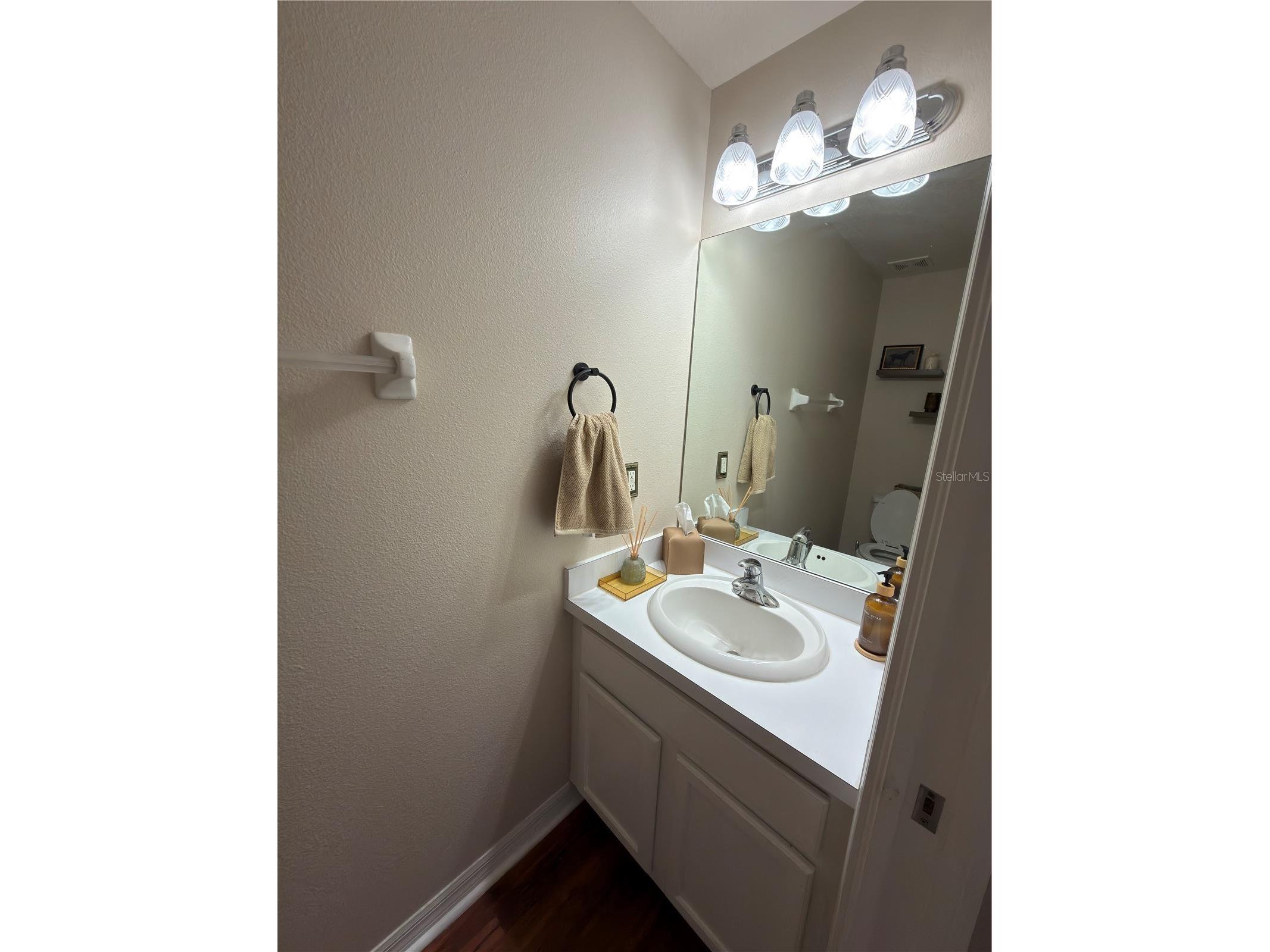 8103 Tar Hollow Drive Gibsonton FL 33534 O6386904 image10