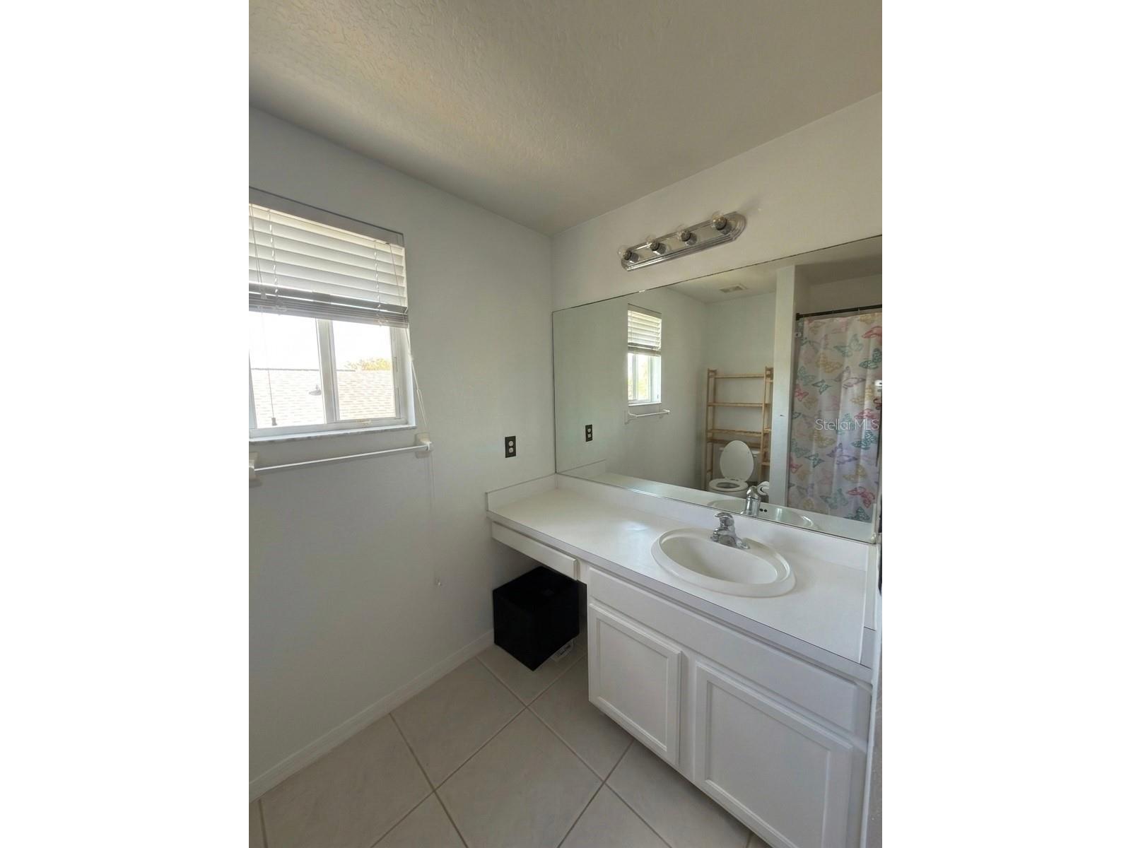 8103 Tar Hollow Drive Gibsonton FL 33534 O6386904 image17