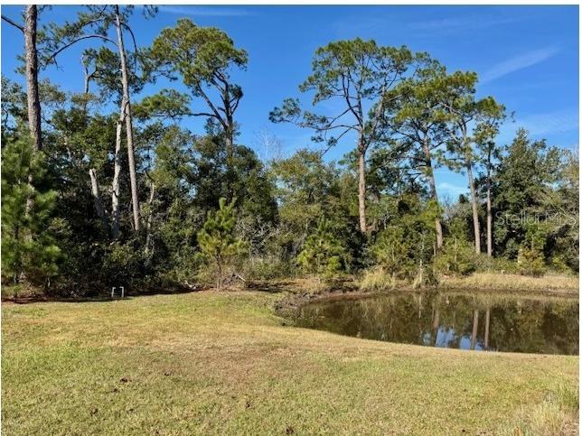8103 Timberwood Lane Orlando FL 32825 O6375497 image19
