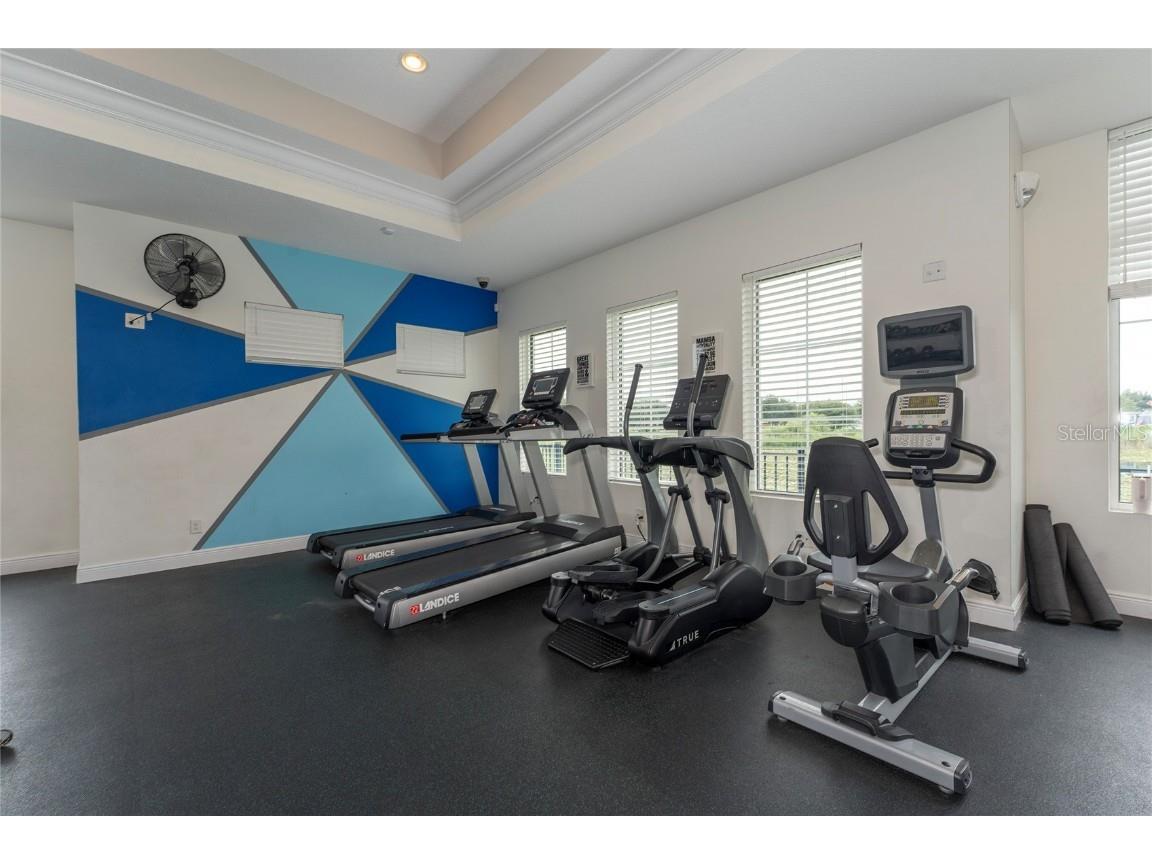 8104 Atlantic Puffin Street Winter Garden FL 34787 S5133502 image41