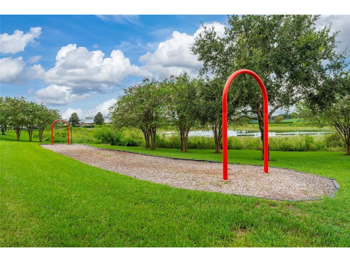 8104 Atlantic Puffin Street Winter Garden FL 34787 S5133502 image43