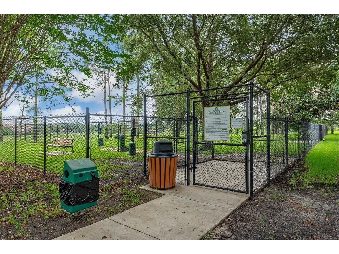 8104 Atlantic Puffin Street Winter Garden FL 34787 S5133502 image44