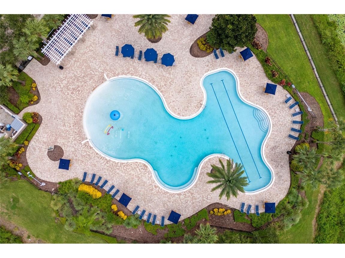 8104 Atlantic Puffin Street Winter Garden FL 34787 S5133502 image45