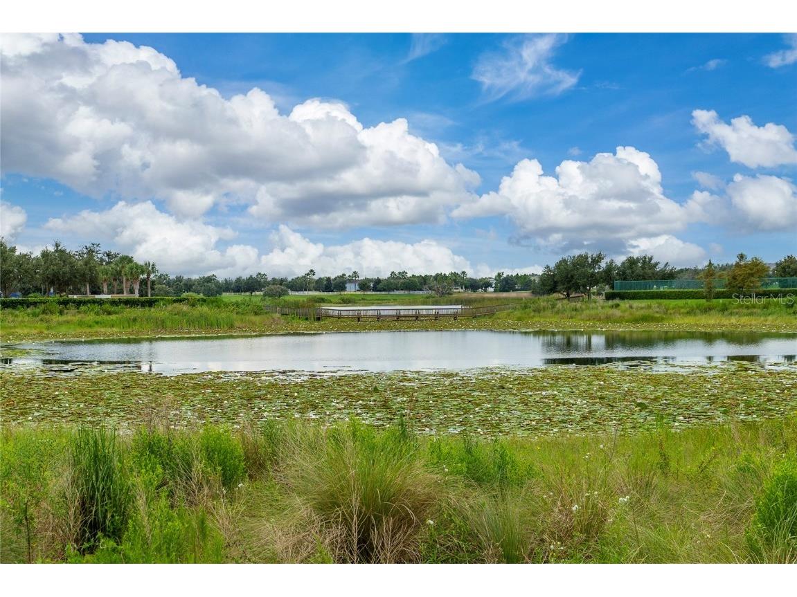 8104 Atlantic Puffin Street Winter Garden FL 34787 S5133502 image47