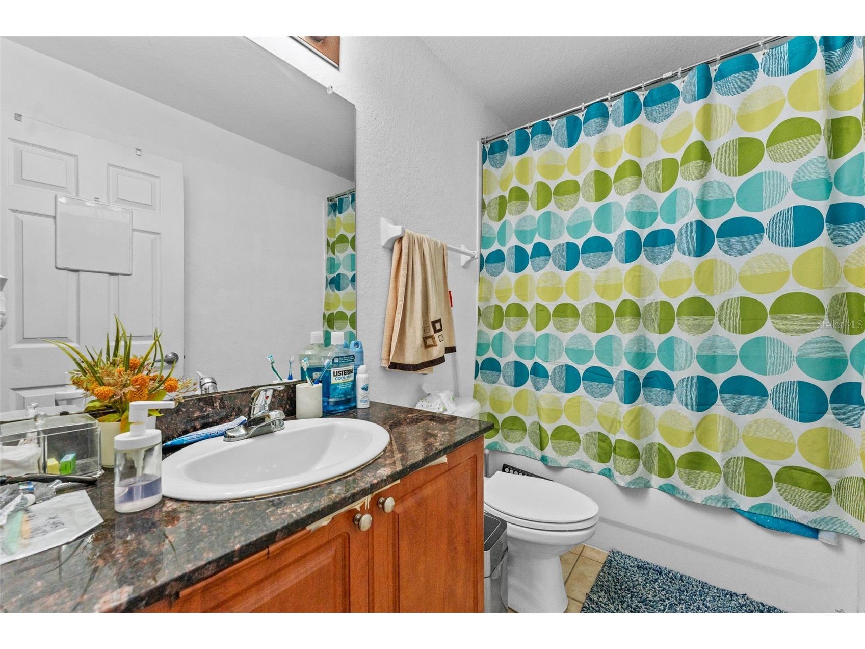 8104 Downpatrick Court Tampa FL 33610 TB8508519 image19