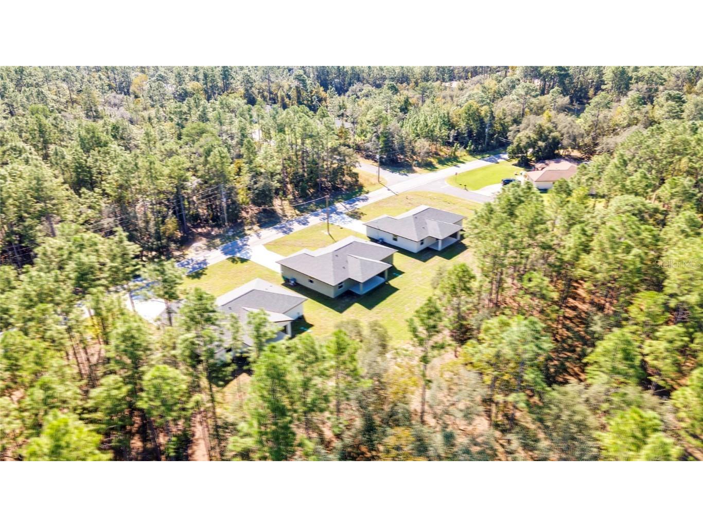 8104 N Santos Drive Citrus Springs FL 34434 TB8317150 image55