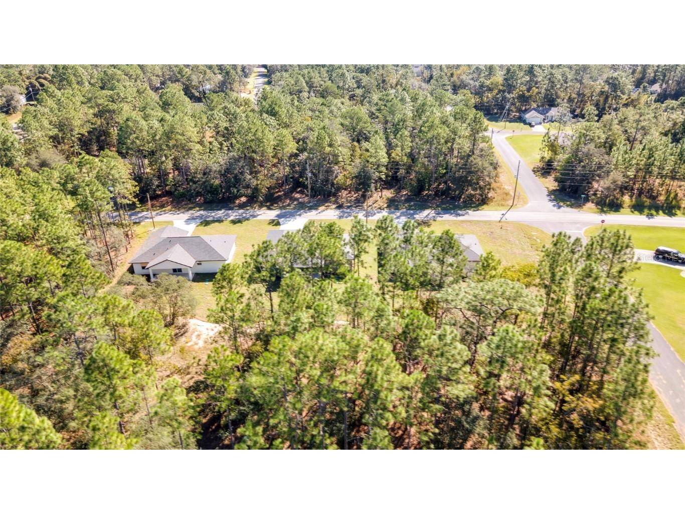 8104 N Santos Drive Citrus Springs FL 34434 TB8317150 image56