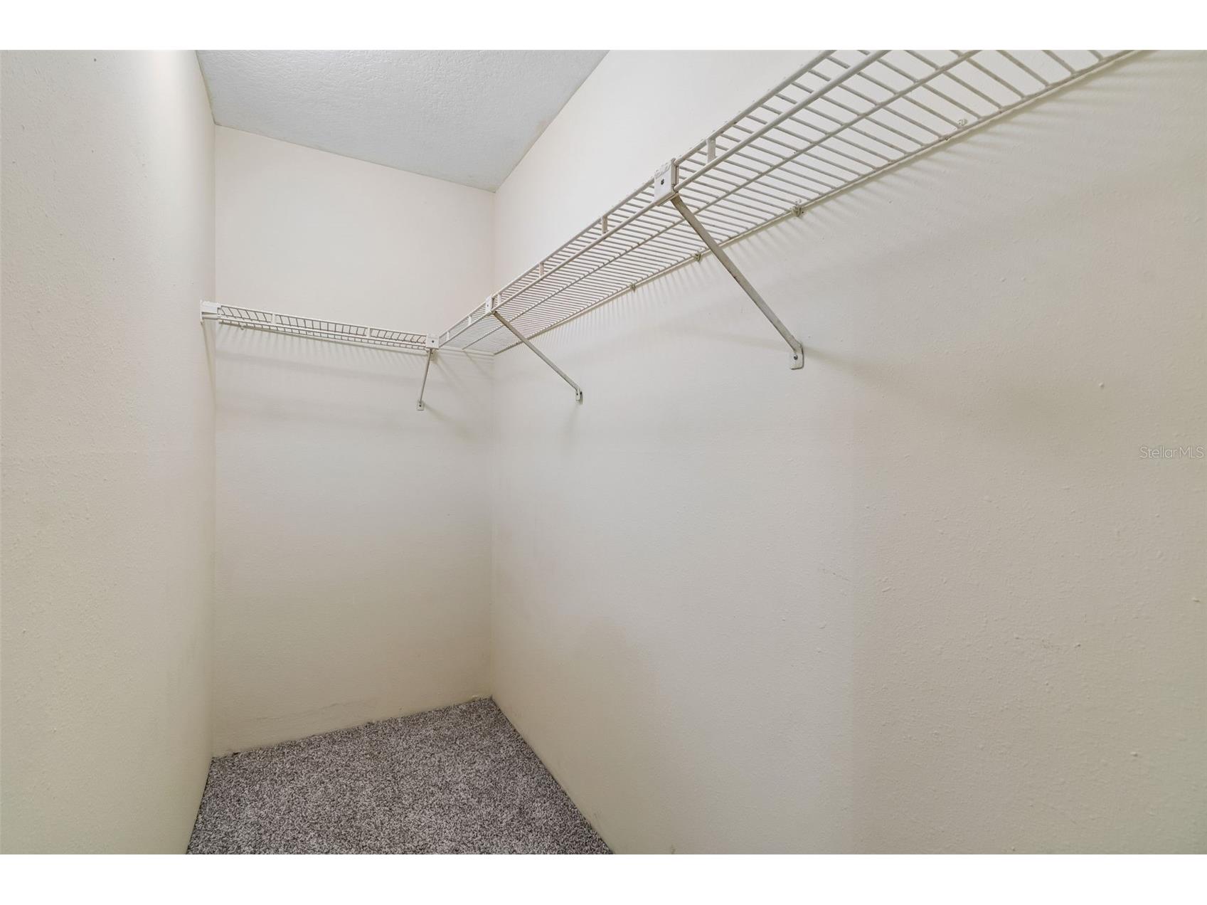 8105 Casuarina Drive Port Richey FL 34668 W7884152 image33