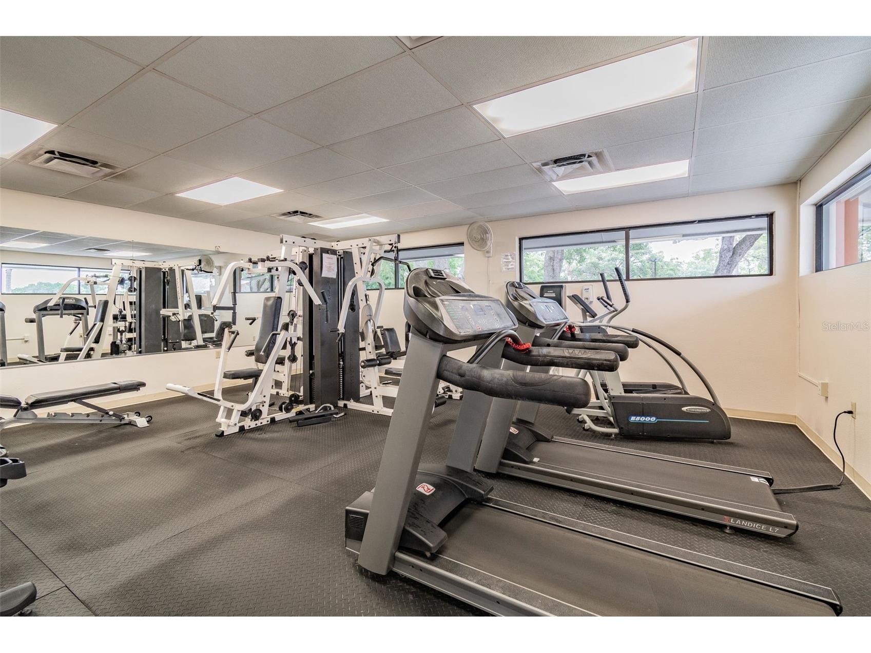 8105 Casuarina Drive Port Richey FL 34668 W7884152 image49