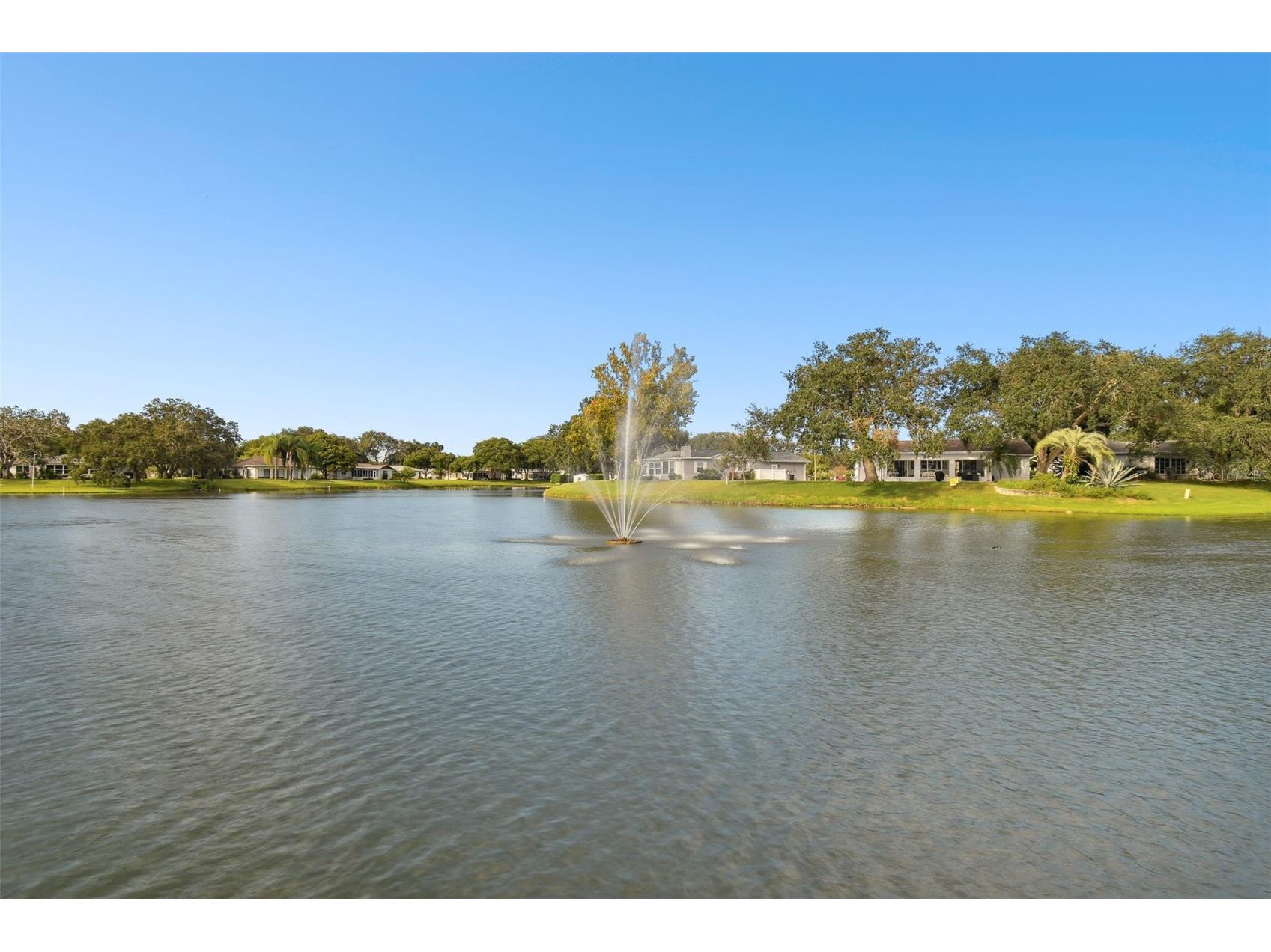 8105 Casuarina Drive Port Richey FL 34668 W7884152 image50