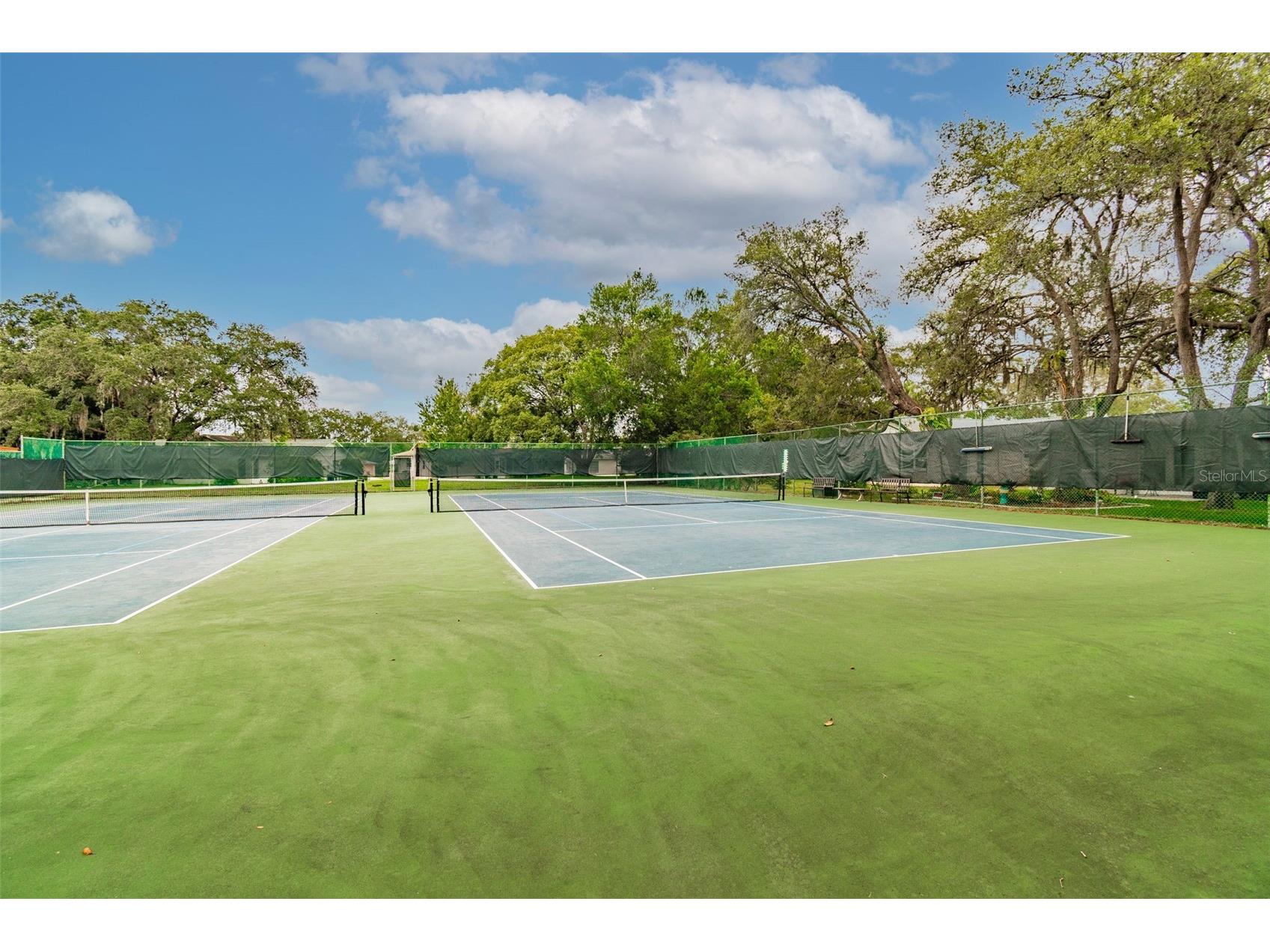 8105 Casuarina Drive Port Richey FL 34668 W7884152 image56