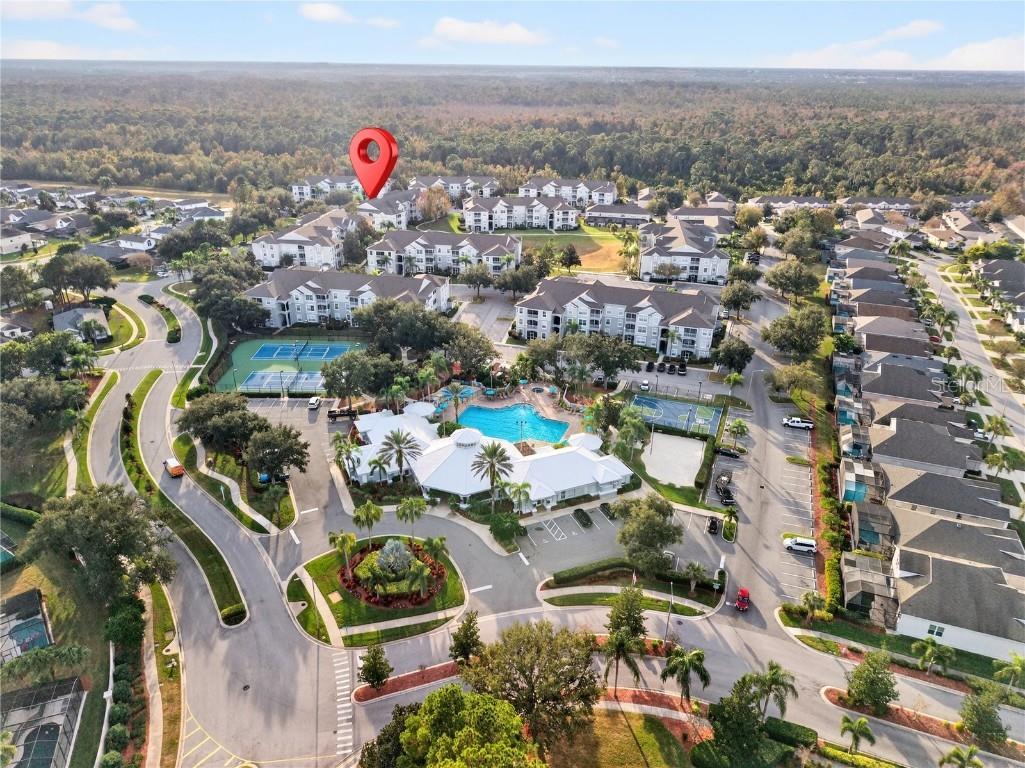 8105 Coconut Palm Way #203 Kissimmee FL 34747 O6365867 image32