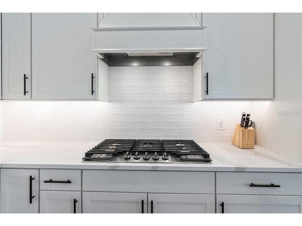 8105 Fenton Street Orlando FL 32836 O6363668 image52