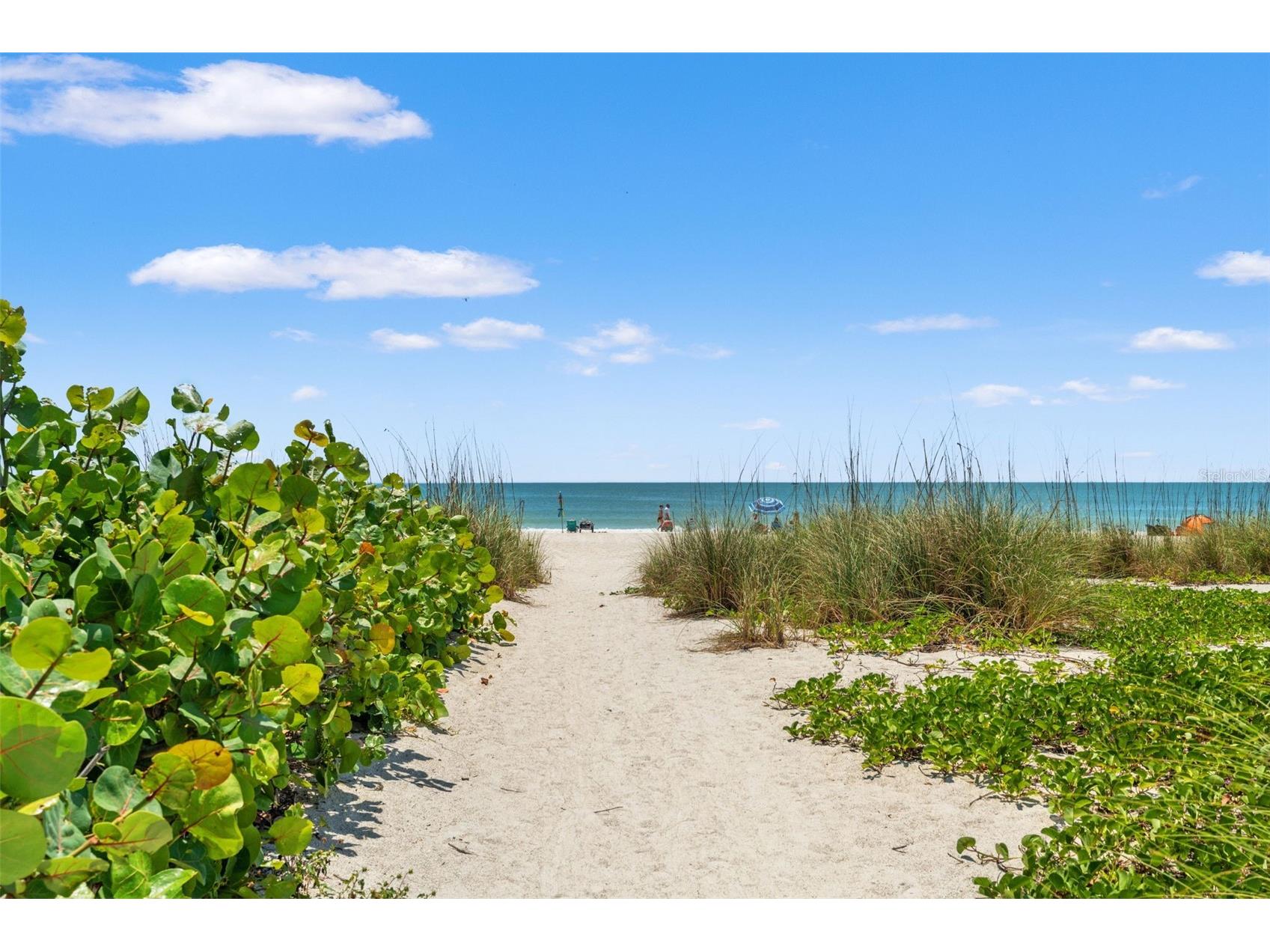 8106 Gulf Drive #A&B Holmes Beach FL 34217 TB8500298 image73