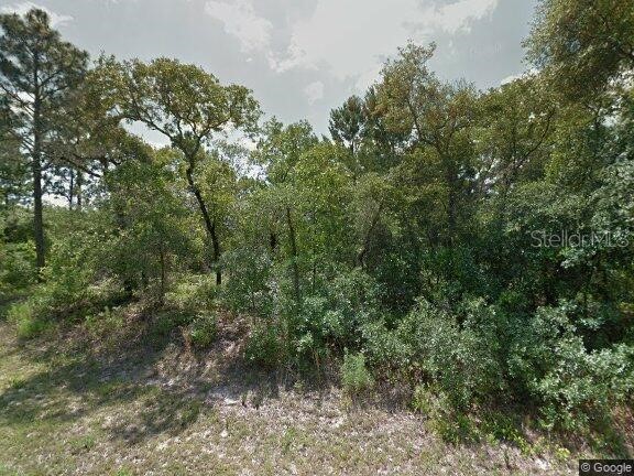 8106 N Voyager Drive Citrus Springs FL 34433 O6128293 image1