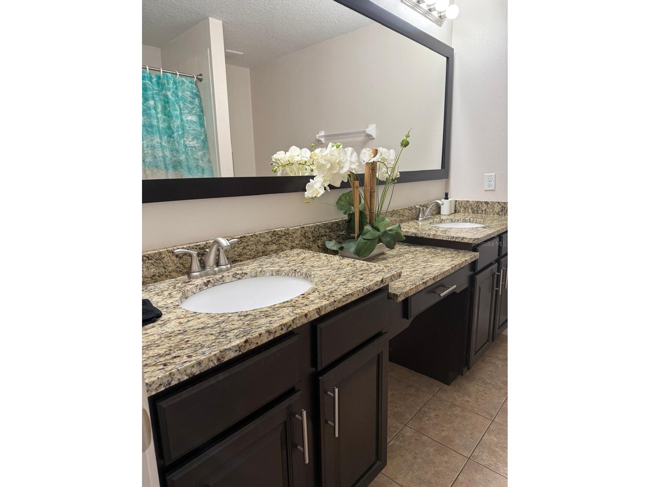 8106 Roseville Road Davenport FL 33896 S5149262 image13