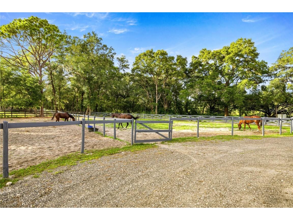 8106 SW 19th Lane Ocala FL 34481 OM708783 image41