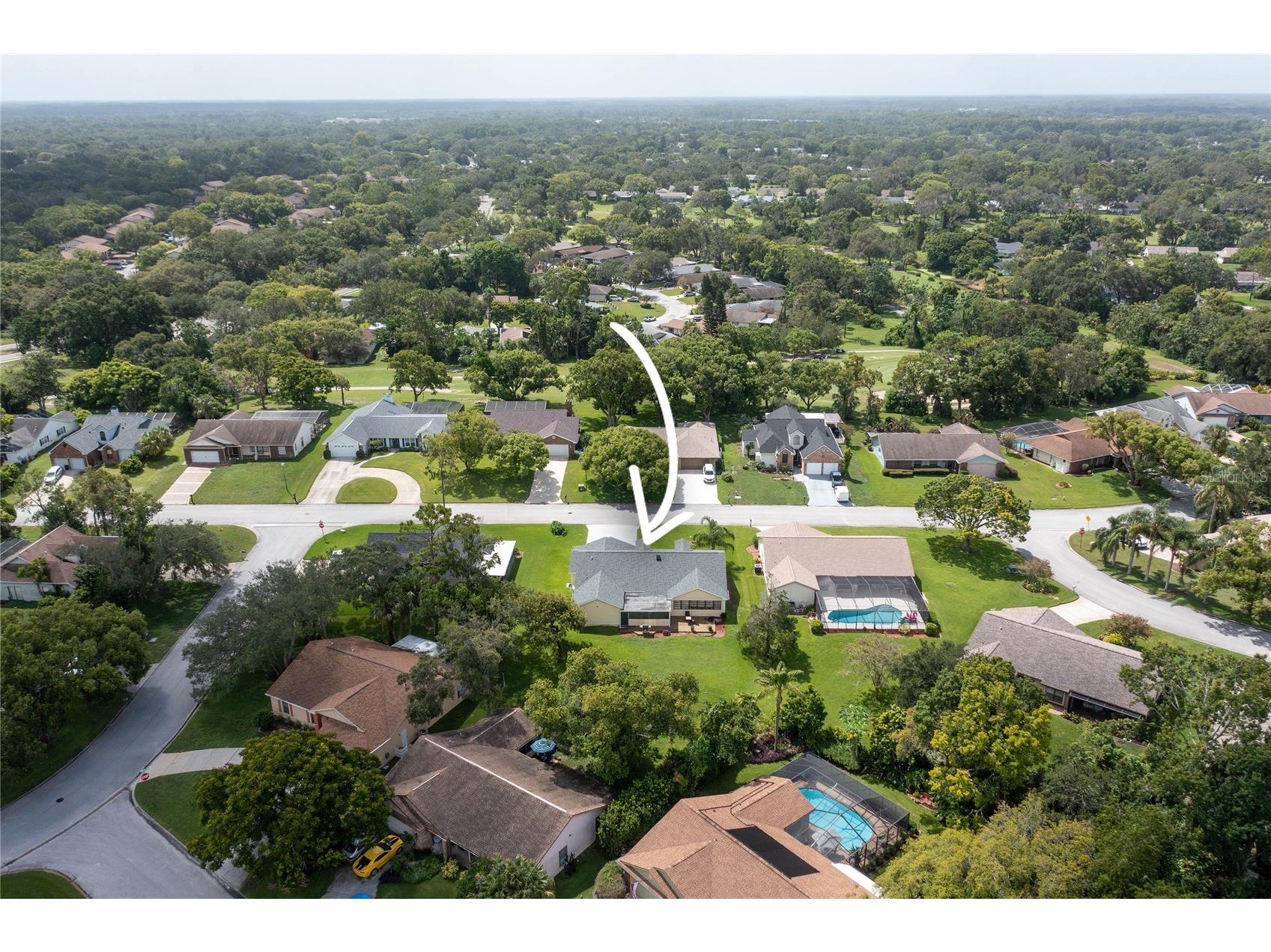 8107 Greenside Lane Hudson FL 34667 TB8417210 image53