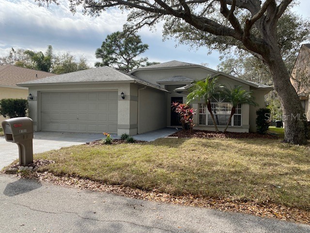 8107 Hathaway Drive New Port Richey FL 34654 U8230694 image1